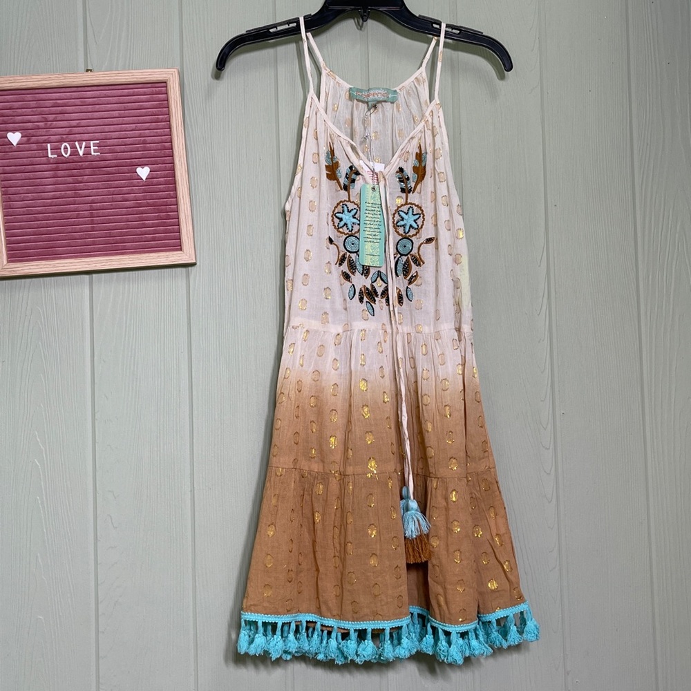 Beach Embroidered Beaded Metallic Ombre Dress